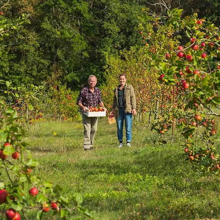 Wald- & Jagdgut * Neuendorf (Usedom)